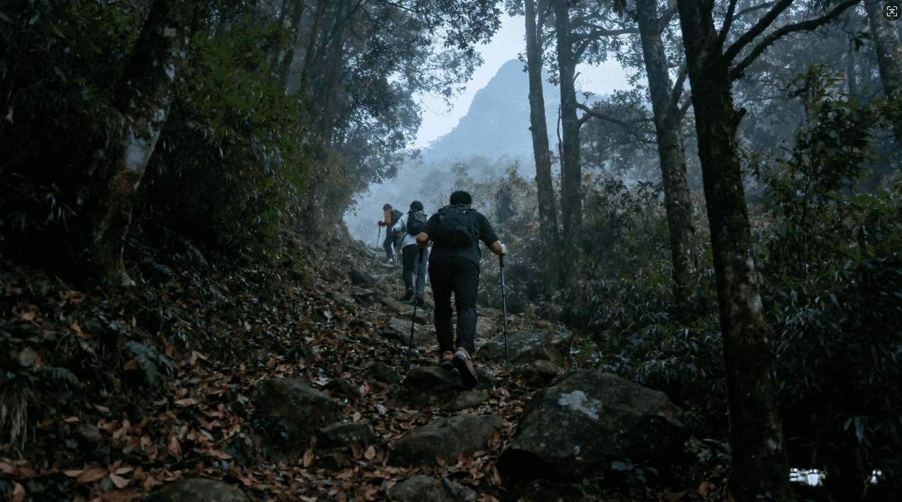 老王加速器登不上去怎么办？专家详细解答
